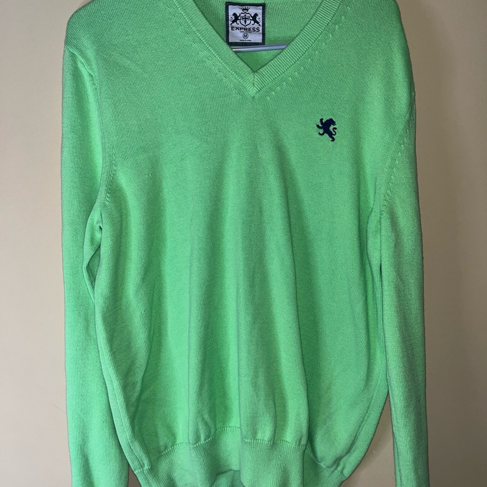 Express Light Green V-Neck Sweater for Men